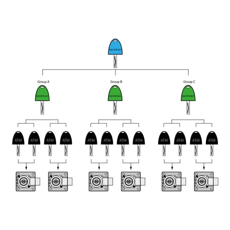 25515 - 1.jpg