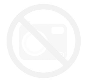 41166.jpg