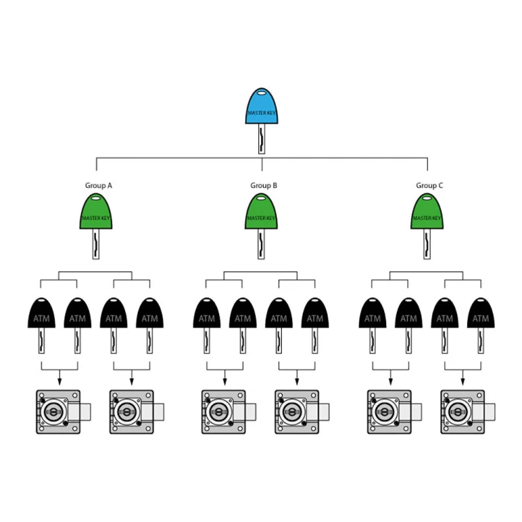 25511 - 1.jpg